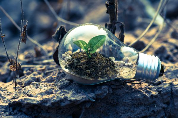 MSCI ESG Research: o que é e qual a importância dos ratings ESG?